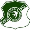 SV索尼克斯
